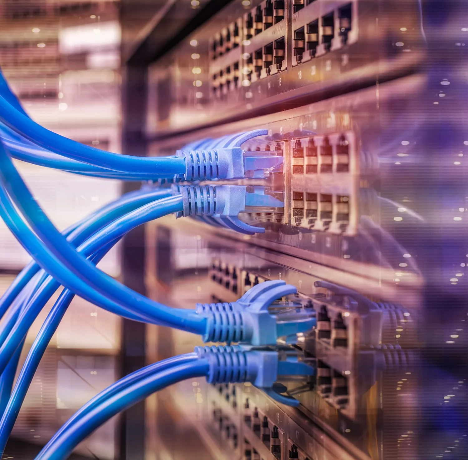 Structured Cabling service